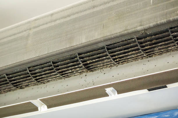 Best Affordable Air Duct Cleaning  in Velda City, MO